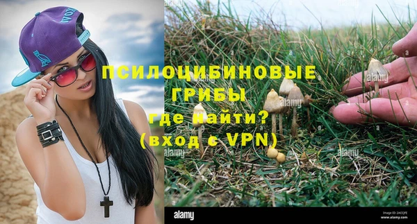 трава Абдулино