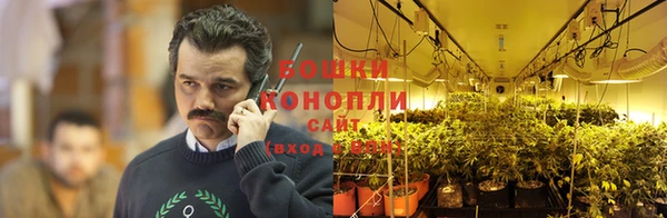 ПСИЛОЦИБИНОВЫЕ ГРИБЫ Абинск
