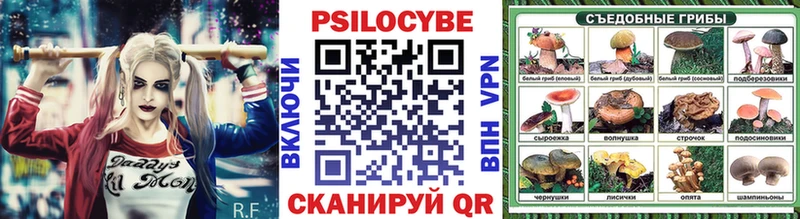 Галлюциногенные грибы Psilocybine cubensis Исилькуль